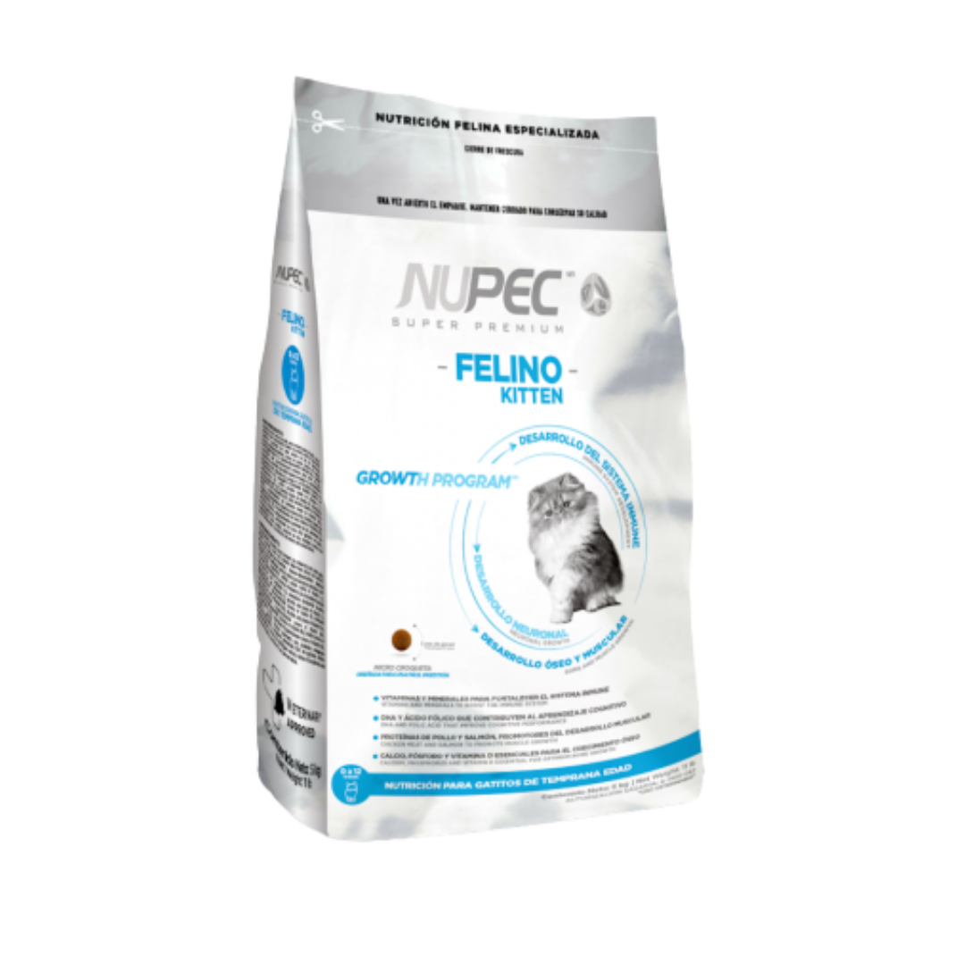 NUPEC Felino Kitten