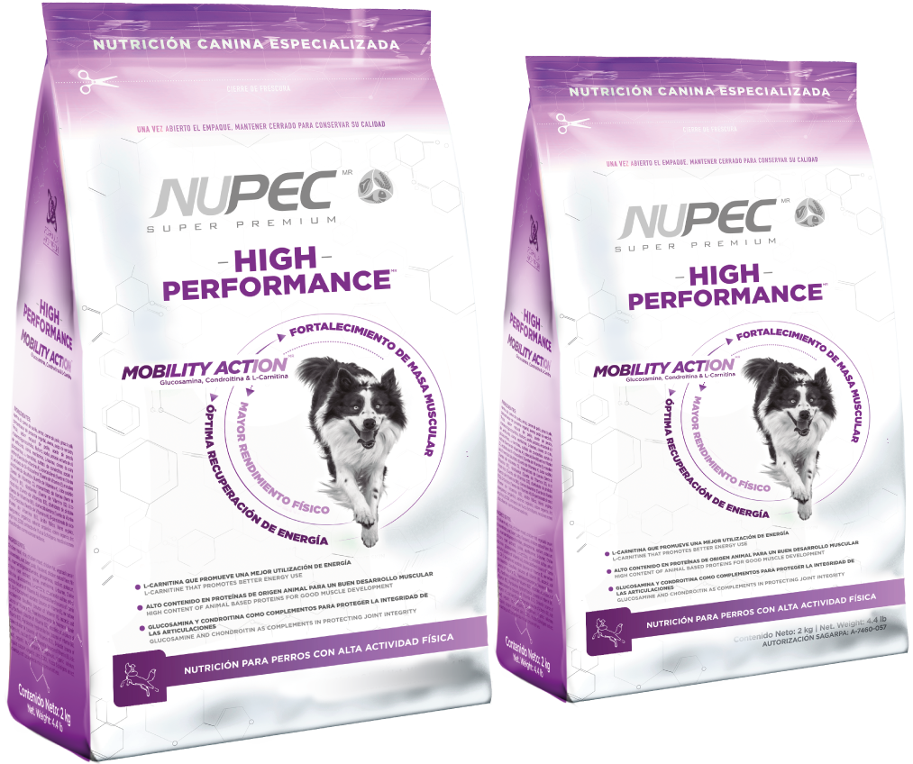 NUPEC High Performance